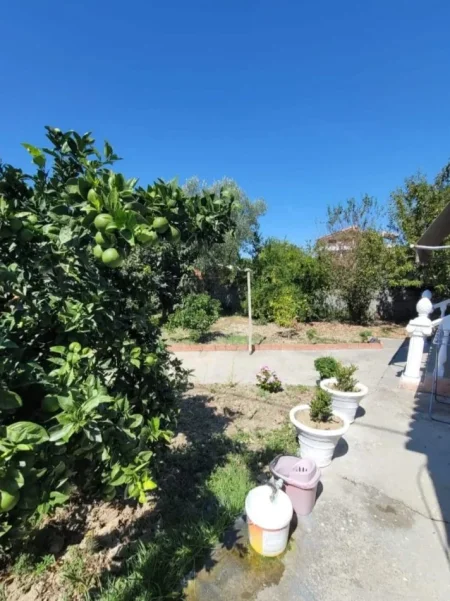 Kavaje, shitet shtepi 1+1+Aneks+Ballkon Kati 1, 300 m² 75.000 € (Kavaje)