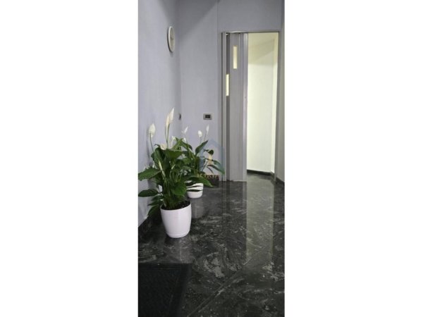 Tirane, jap me qera apartament 1+1 Kati 2, 40 m² 650 € (Rruga e Dibres)