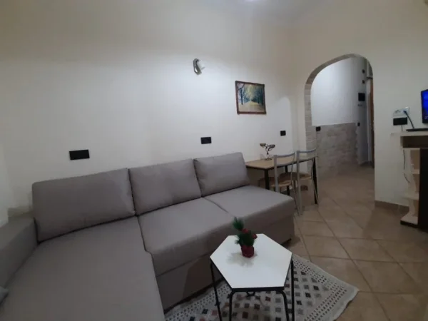 Tirane, jepet me qera apartament 1+1 Kati 2, 450 € (zonen e Frigoriferit 5 MAJ)