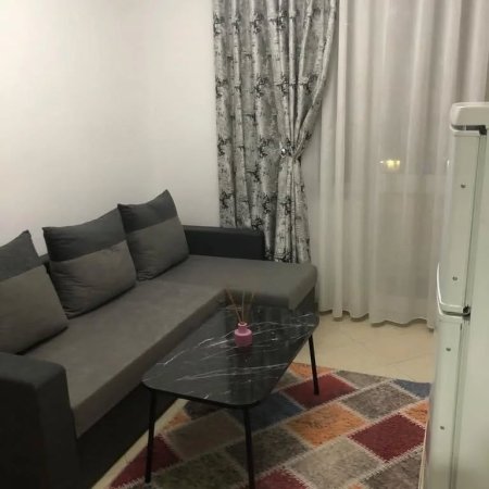Tirane, jepet me qera apartament 1+1 Kati 3, 500 € (sheshi willson)