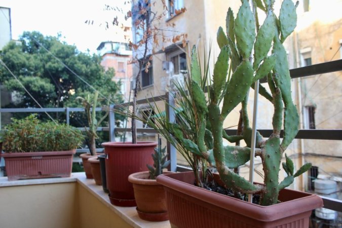 Tirane, jepet me qera apartament 1+1 Kati 2, 65 m² 600 € (Shkolla Petronini Luarasi)