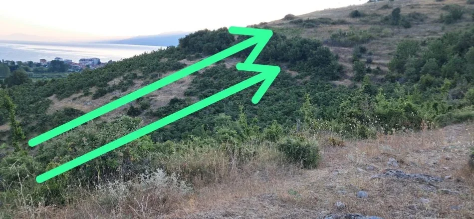 Pogradec, shitet toke , 680 m² 