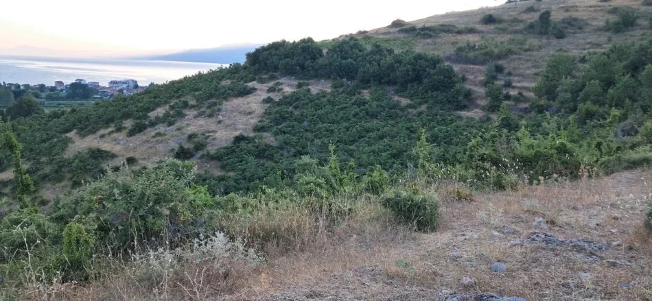 Pogradec, shitet toke , 680 m² 