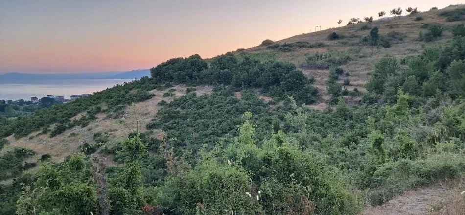 Pogradec, shitet toke , 680 m² 