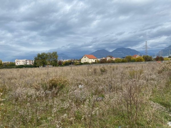 Borsh, shitet toke , 1.000 m² 160.000 € (Borsh Sarande)