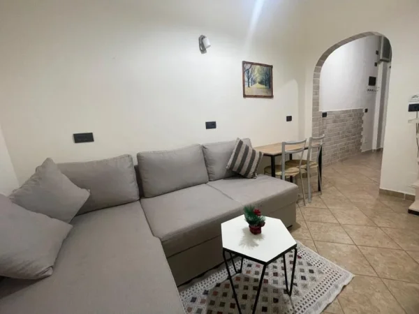 Tirane, jepet me qera apartament 1+1+Ballkon Kati 2, 47 m² 450 € (RRUGA 5 MAJI)