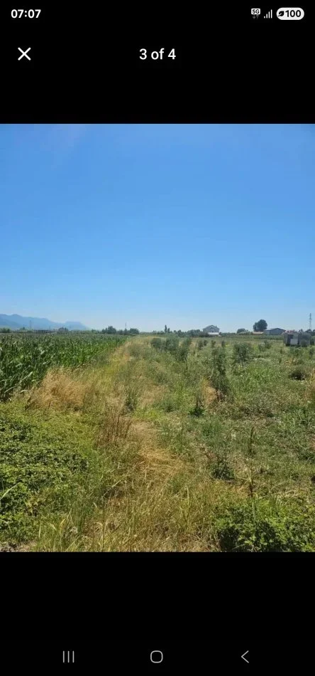 Lezhe, shitet toke , 2.171 m² 32.000 € (Adresa Rrile Lezhe)