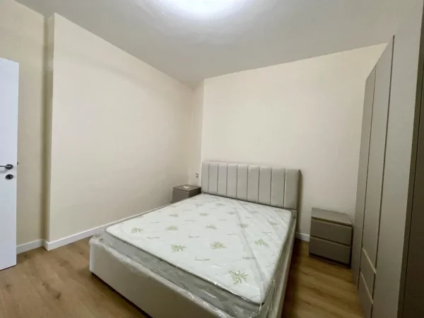 Tirane, jepet me qera apartament 1+1 Kati 1, 50 m² 500 € (Prane Credins Bank tek Ali Demi.)