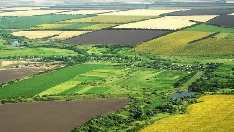 Tirane, shitet toke , 30.000 m² (Surrel)