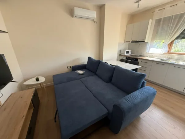 Tirane, jepet me qera apartament 1+1 Kati 2, 500 € 