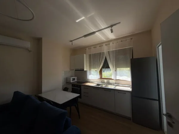 Tirane, jepet me qera apartament 1+1 Kati 2, 500 € 