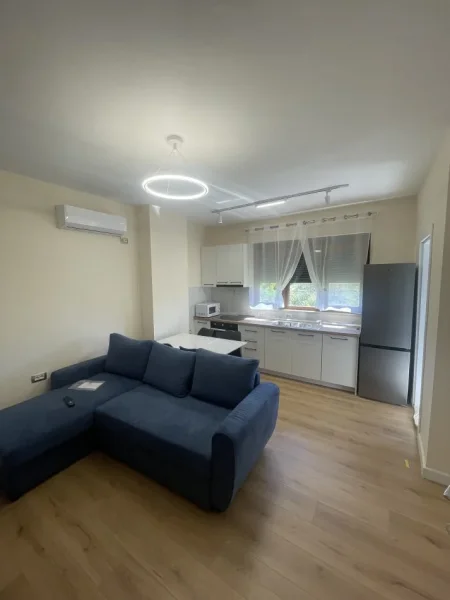 Tirane, jepet me qera apartament 1+1 Kati 1, 46 m² 500 € (Ali Demi)