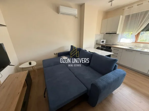 Tirane, jepet me qera apartament 1+1 Kati 1, 50 m² 500 € (ali dem tek fusha)