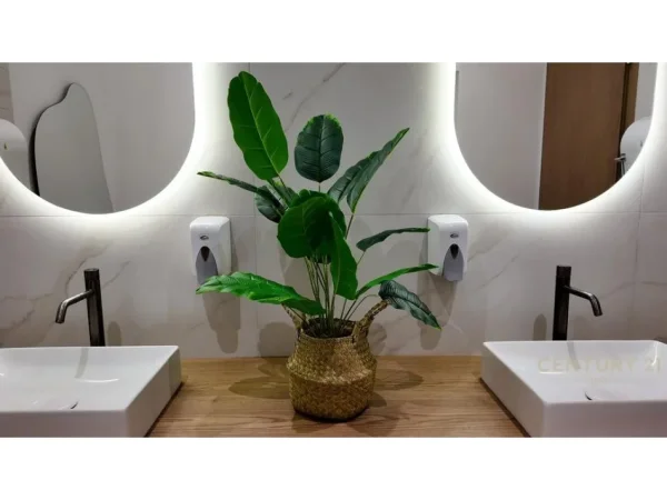 Tirane, jepet me qera lokal Kati 0, 195 m² 2.000 € (Fresk)