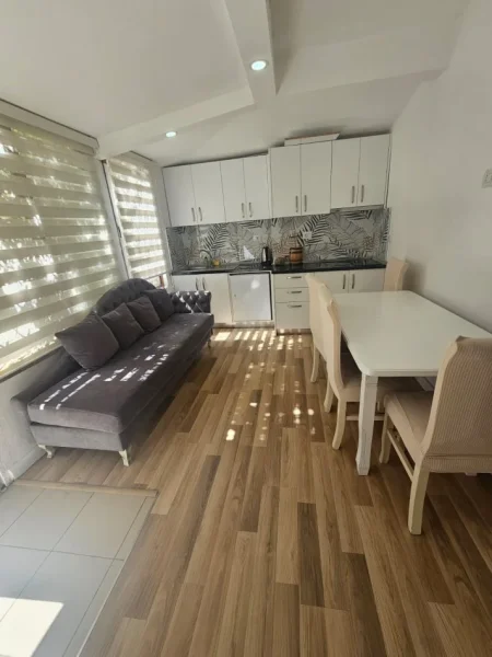 Tirane, jepet me qera apartament 1+1 Kati 1, 50 m² 500 € (rruga bardhok biba)