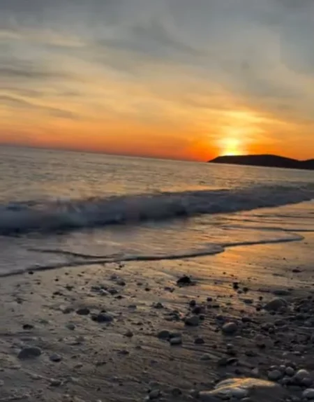 Borsh, shes Truall , 500.000 €