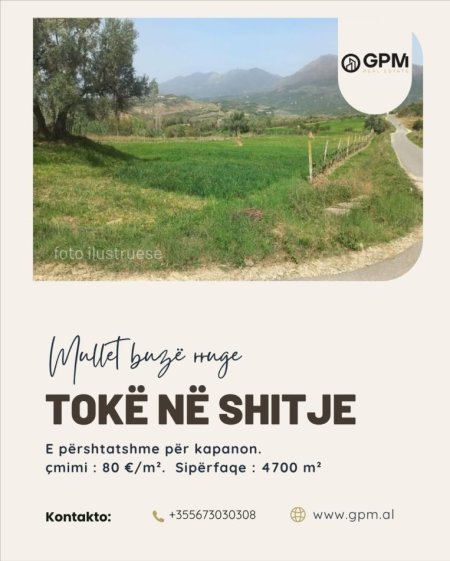 Tirane, shitet toke ne Mullet  , 4.700 m²