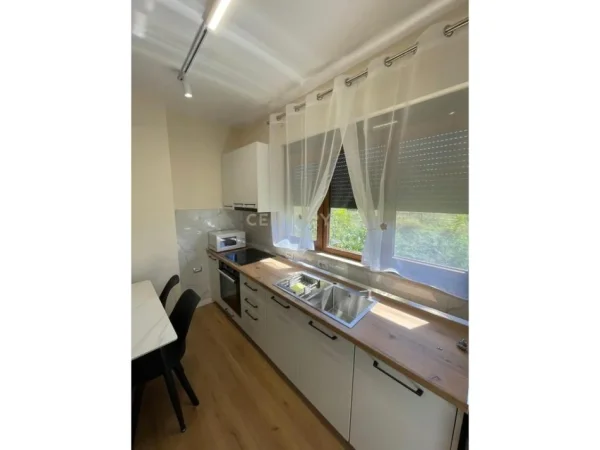 Tirane, jepet me qera apartament 2+1 Kati 1, 46 m² 500 € (Ali Demi)