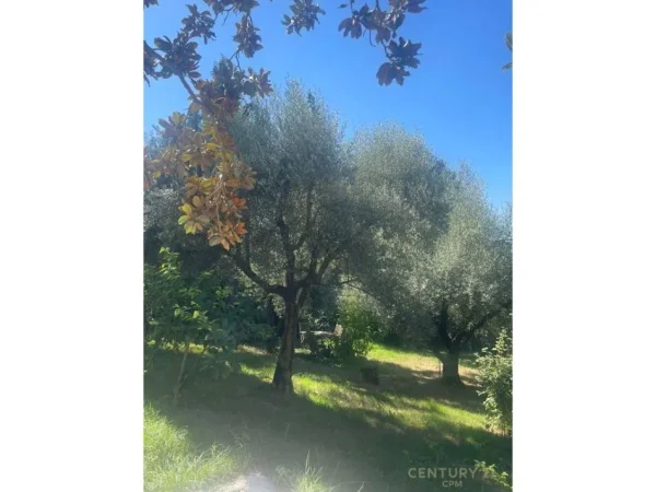 Tirane, jepet me qera apartament 3 Katshe Kati 0, 2.137 m² 3.000 € (Farkën e Vogël)