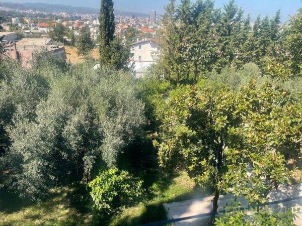 Tirane, jepet me qera apartament 3 Katshe Kati 0, 2.137 m² 3.000 € (Farkën e Vogël)