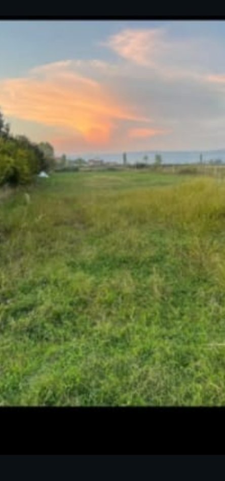 Shengjin, shitet toke , 2.000 m² 56.000 € 