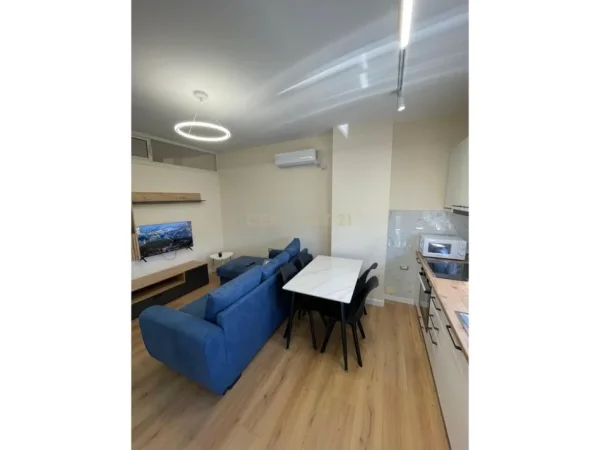 Tirane, jepet me qera apartament 1+1 Kati 1, 46 m² 500 € (Rr.Dhimiter Kamarda)