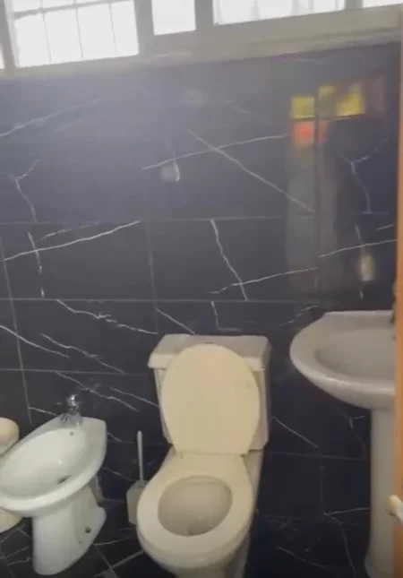 Tirane, jepet me qera shtepi 1+1 Kati 1, 55 m² 300 € (5 maji)