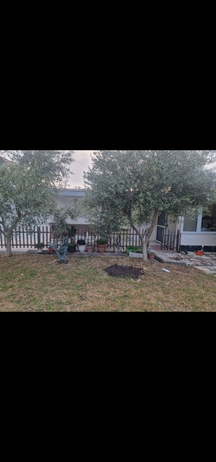 Tirane, jepet me qera shtepi 1+1+Aneks+Ballkon Kati 1, 200 m² 600 € (Rruga: Fiqiri Rusi / Siri Kodra)