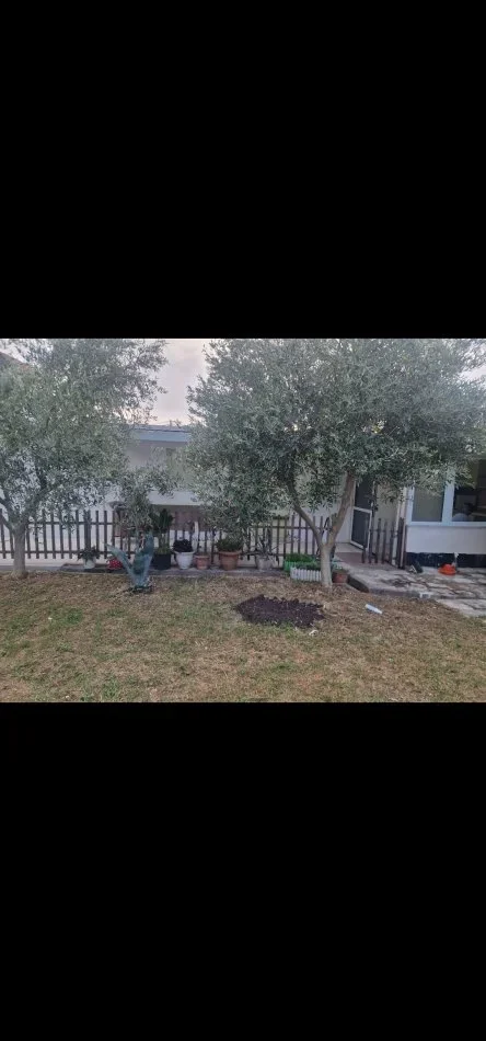 Tirane, jepet me qera shtepi 1+1+Aneks+Ballkon Kati 1, 200 m² 600 € (Rruga: Fiqiri Rusi / Siri Kodra)