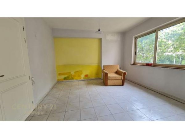 Tirane, jepet me qera zyre Kati 2, 65 m² 650 Euro (9 Kateshet)