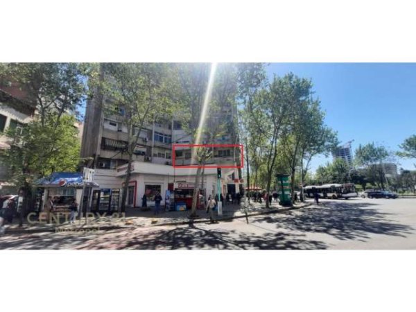 Tirane, jepet me qera zyre Kati 2, 65 m² 650 Euro (9 Kateshet)
