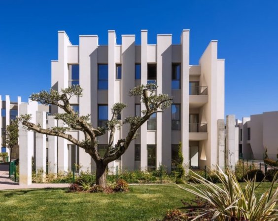 545418787_18338018974202141_2258508034235612777_n (1).jpg