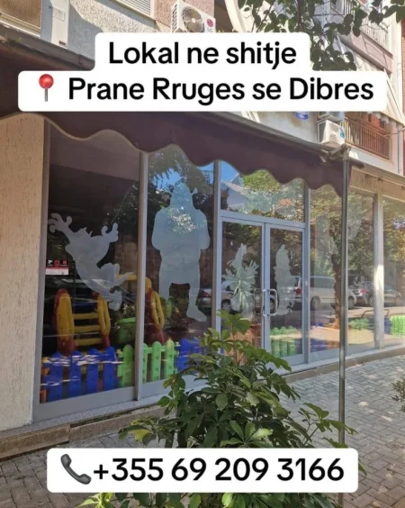 Tirane, shitet lokal Kati 0, 225 m² (Rruga e Dibres)
