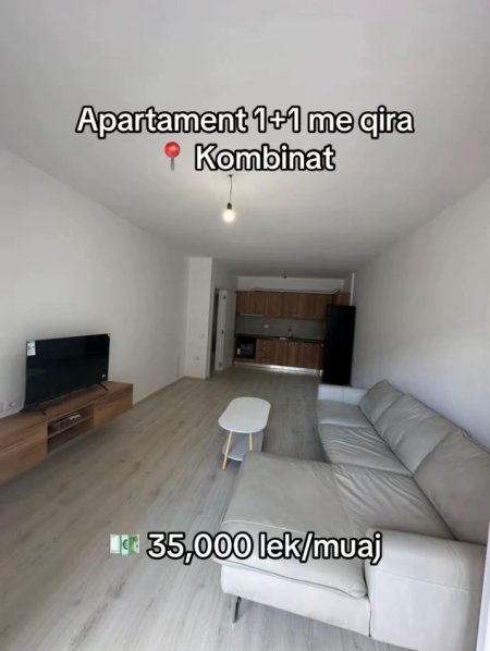 Tirane, jepet me qera apartament 1+1 Kati 1, 350 € (Kombinat)