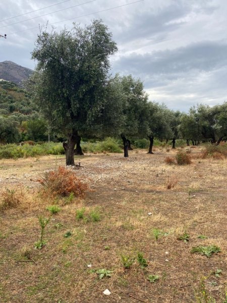 Borsh, shes toke , 1.000 m² 160.000 € (ne Borsh Sarande)
