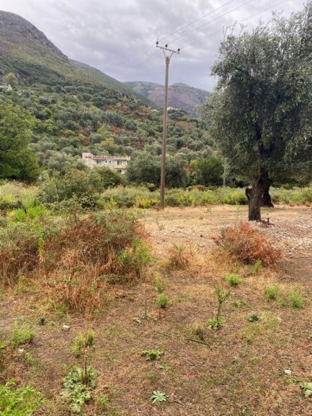 Borsh, shes toke , 1.000 m² 160.000 € (ne Borsh Sarande)