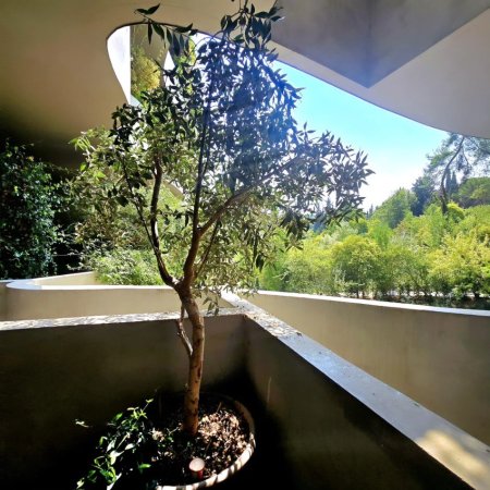 554106443_1358587482942738_5453801800260115479_n (1).jpg