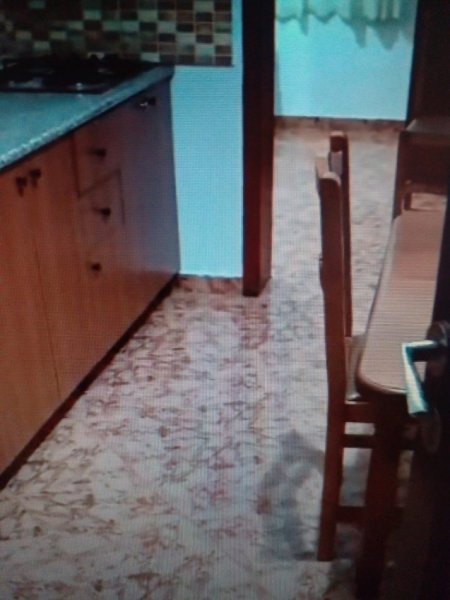 Tirane, jepet me qera apartament 1+1 Kati 1, 360 € 