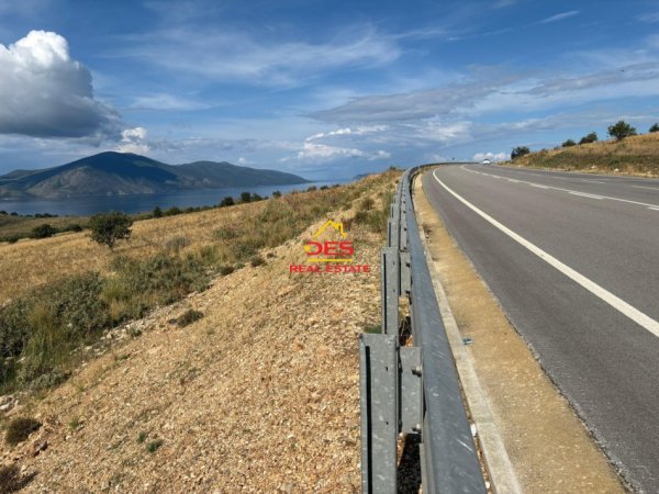 Radhime - Orikum, shitet toke ne bregdet , 6.000 m² (Radhimë)