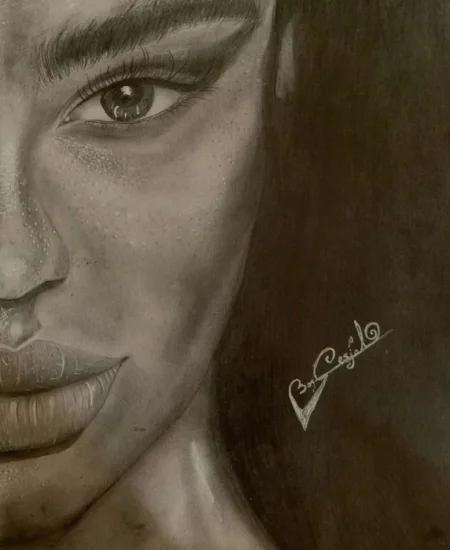 Elbasan, shes Piktura me laps 28 €