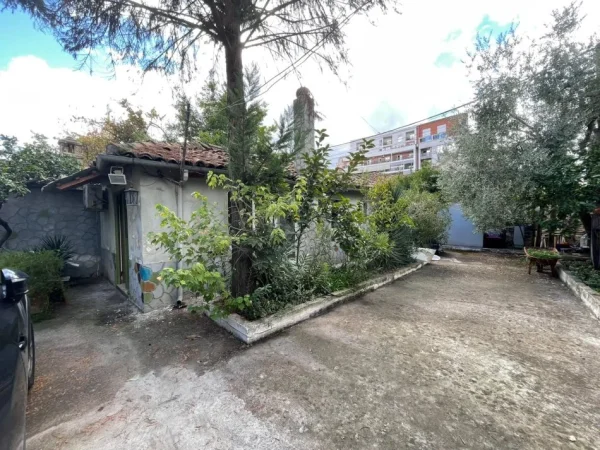 Tirane, jepet me qera ambjent biznesi Kati 0, 170 m² 350 € (selvia)