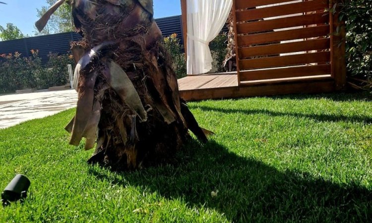 Spille, shitet Vile 4+1+Aneks+Ballkon Kati 2, 500 m²  (Spille)Kavaje