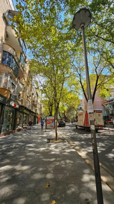 Tirane, jepet me qera zyre Kati 2, 70 m² 700 € (Rruga Myslym Shyri, perballe Intersport)