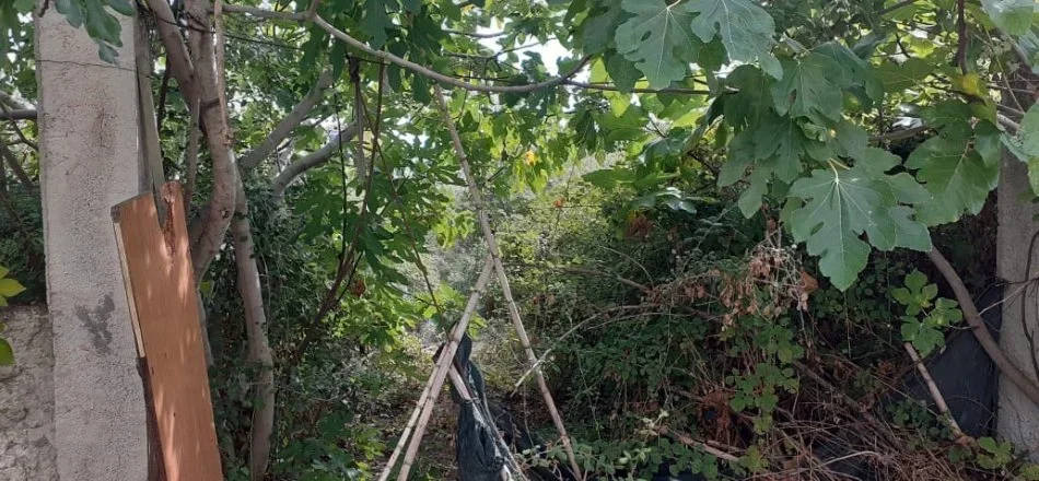 Fier, shitet , 500 m² (Rruga Andon Doro)