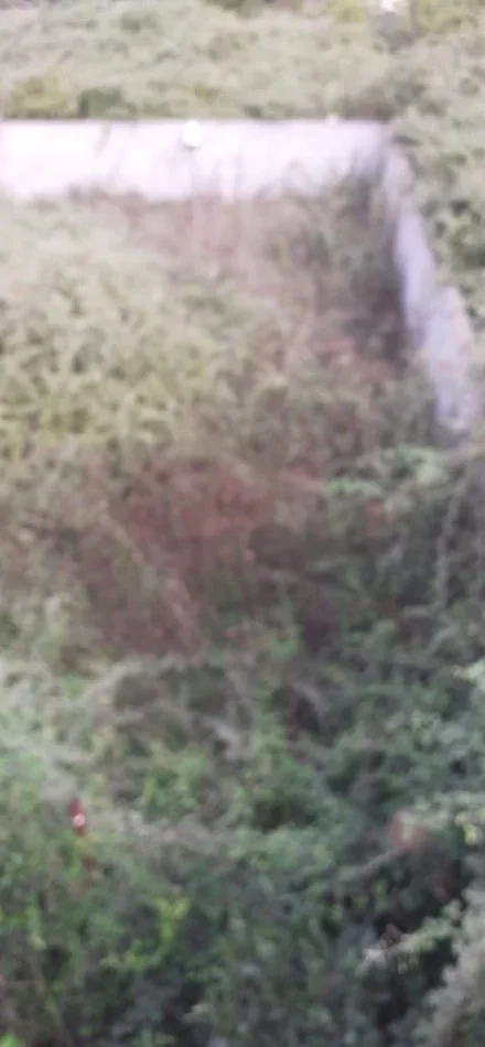 Fier, shitet , 500 m² (Rruga Andon Doro)