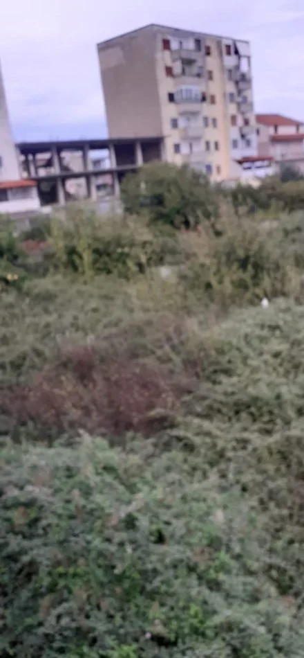 Fier, shitet , 500 m² (Rruga Andon Doro)