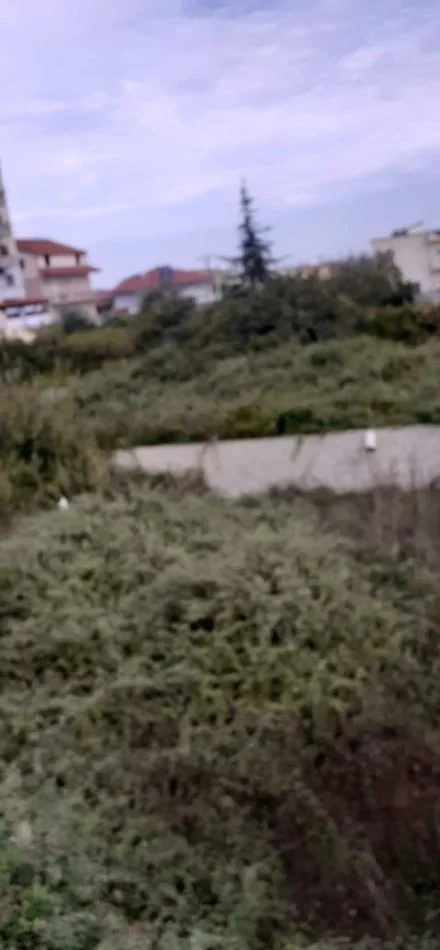 Fier, shitet , 500 m² (Rruga Andon Doro)