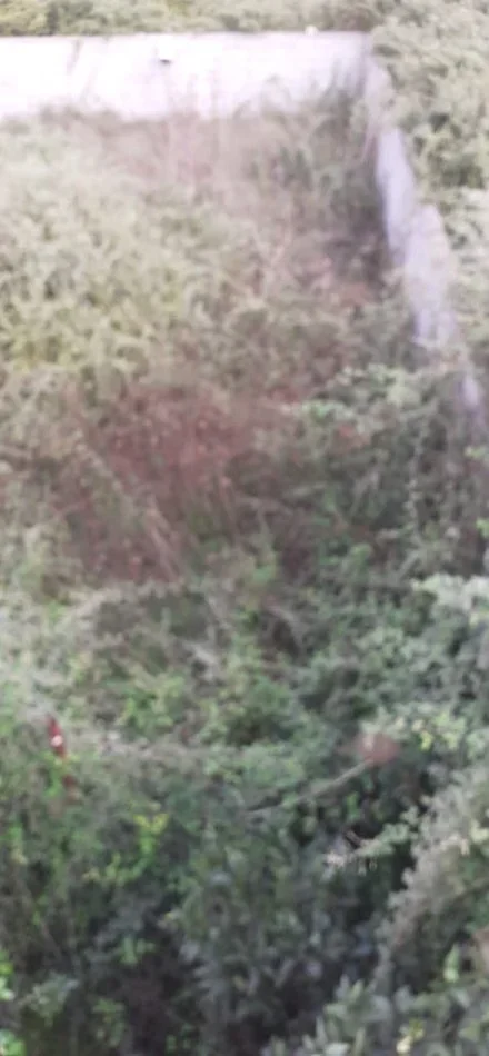 Fier, shitet , 500 m² (Rruga Andon Doro)