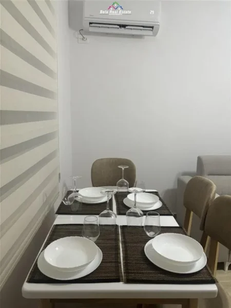 Tirane, jepet me qera Vile 1+1+Ballkon Kati 1, 65 m² 450 € (todi shkurti)