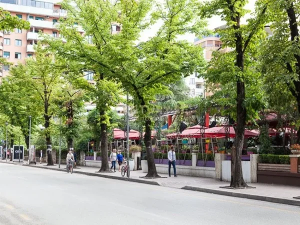 Tirane, jepet me qera zyre Kati 5, 123 m² 2.500 € (Blloku)